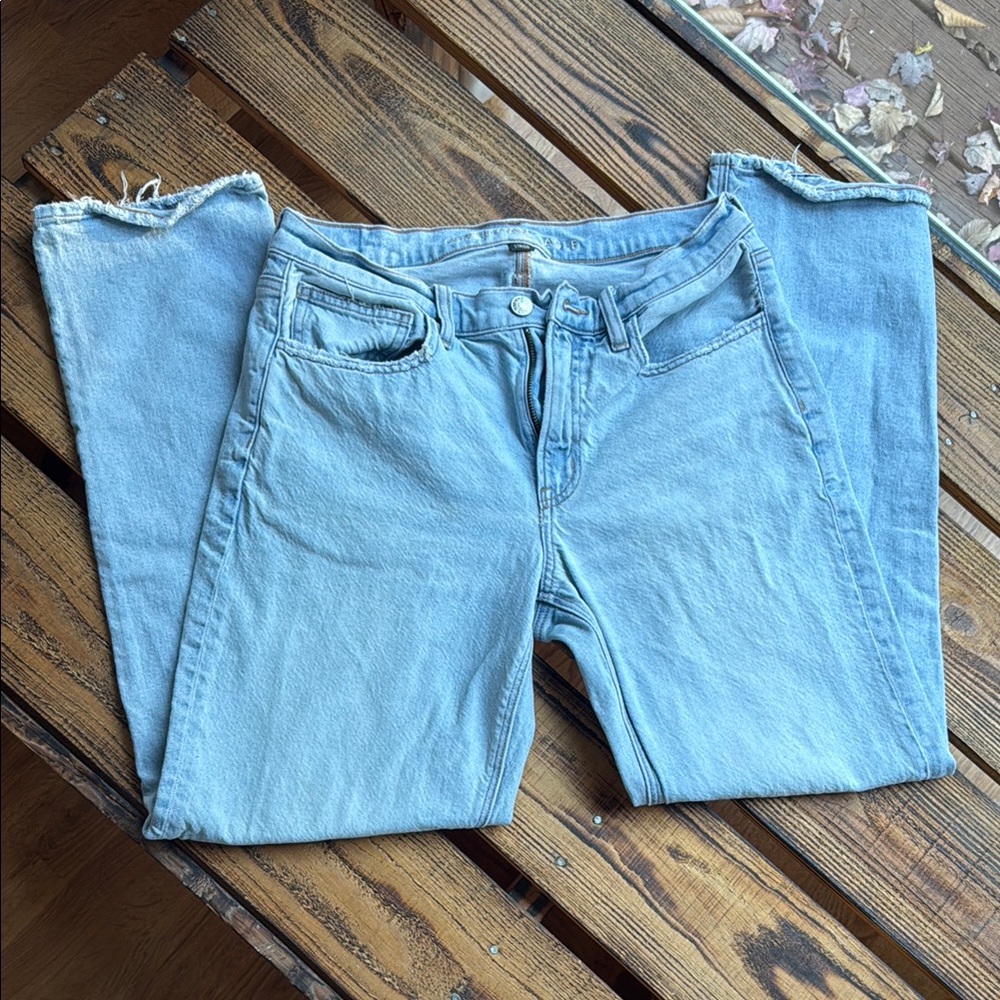 American Eagle Outfitters Strigid Mom Jeans
